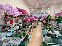 -双季花艺园艺市场(浦东店)