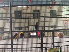 -广东茂名森林公园