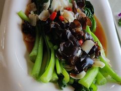 高寒百合白灼菜心-品味泸沽湖•民族特色菜(大落水店)