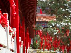 -开福禅寺