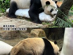 -小茶闲舍·观景商务茶馆(广州塔店)