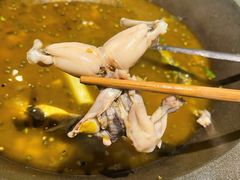 -石锅苗苗鱼(武汉首店)
