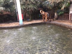 -龙达温泉生态城