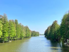 -溱湖国家湿地公园