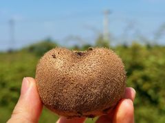 -何家一碗面(南大街店)