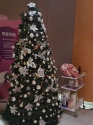 -妈咪呗呗月子中心(市心店)