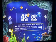 -白鹿仓冰雪海洋世界