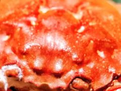 -成隆行·蟹王府(淮海店)