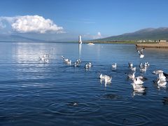-青海湖国家重点风景名胜区