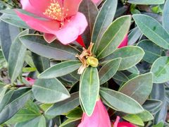 -楠柏弯休闲山庄(梨花溪店)