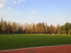 -合肥滨湖国家森林公园