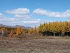 -塞罕坝国家级自然保护区