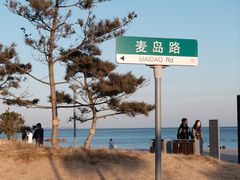 -小麦岛公园