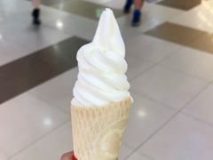 -蜜雪冰城(武进区吾悦店)