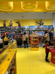 -乐高授权专卖店(华采天地店)