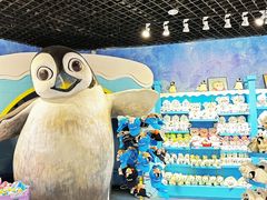 -海合安天津极地海洋公园