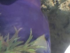 -重庆欢乐海底世界