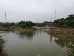 -王借岗森林公园