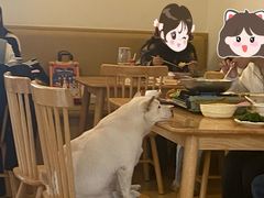 -柴の食堂·日式家庭料理·熊之肆(大学路店)