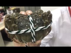 -七的湖·晚芳亭·阳澄湖农家菜·大闸蟹(莲花岛店)