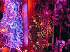 -周庄红庭演艺酒吧