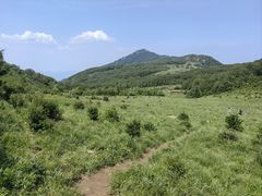 -白草畔自然风景区