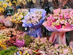 -大自然花鸟鱼虫市场