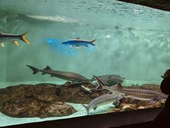 -太平洋海底世界