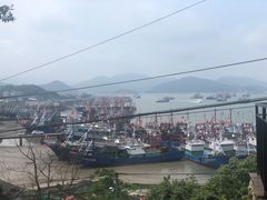 -胖大嫂渔家排档·全海景餐厅(渔村店)