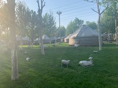 -九十九顶毡房(阜石路店)