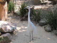 -费瑟代尔野生动物园