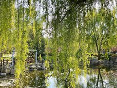 -唐城墙遗址公园