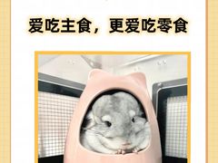 -博特宠物医院24h犬猫全科.骨科·异宠