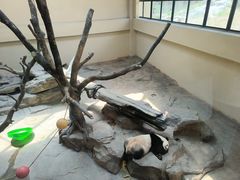 -宁波野生动物园