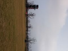 -春花秋色城市公园