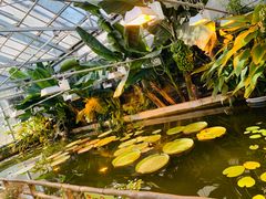 -国家植物园南园