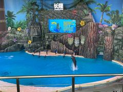 -珠海长隆海洋王国