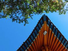 -西宁市东关清真大寺