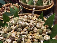 -黔蘑菇四季餐厅(观山湖店)