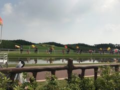 -迪茵湖田家舍生态农场