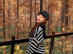 -黄海国家森林公园