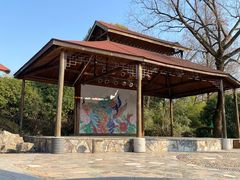 -金孔雀温泉旅游度假村