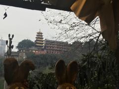 -懒鱼时光馆(沙坪坝店)