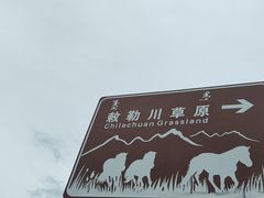 -敕勒川草原