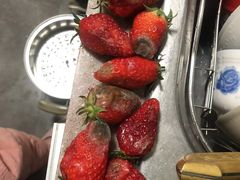 -小鱼草莓采摘园农家乐·小鱼餐厅