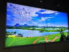 -魏家凉皮(翟营南大街店)