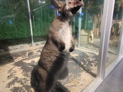 -常州海昌海洋探索馆