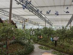 -南宫五洲植物乐园