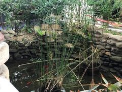 -老磨油饼(高陵店)