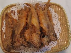 -正味如家饺子家常菜